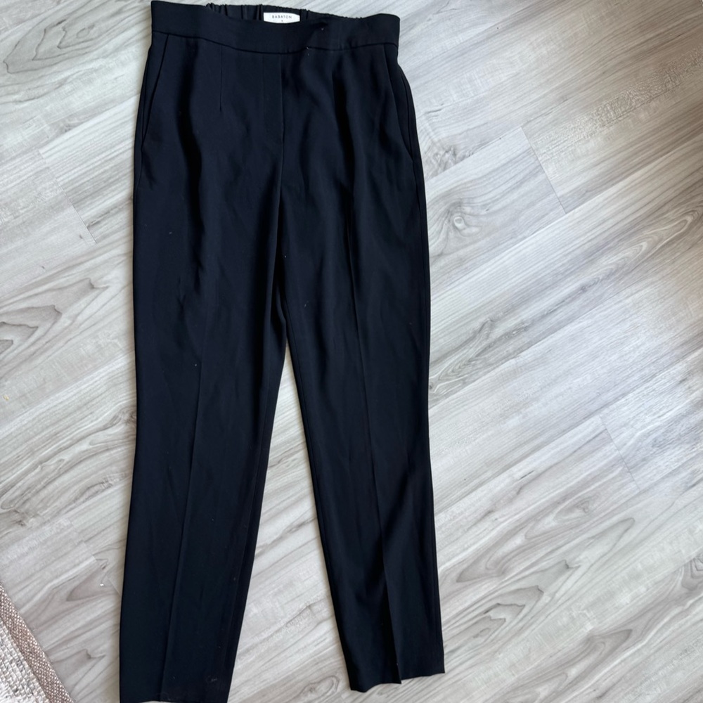 Babaton black pants